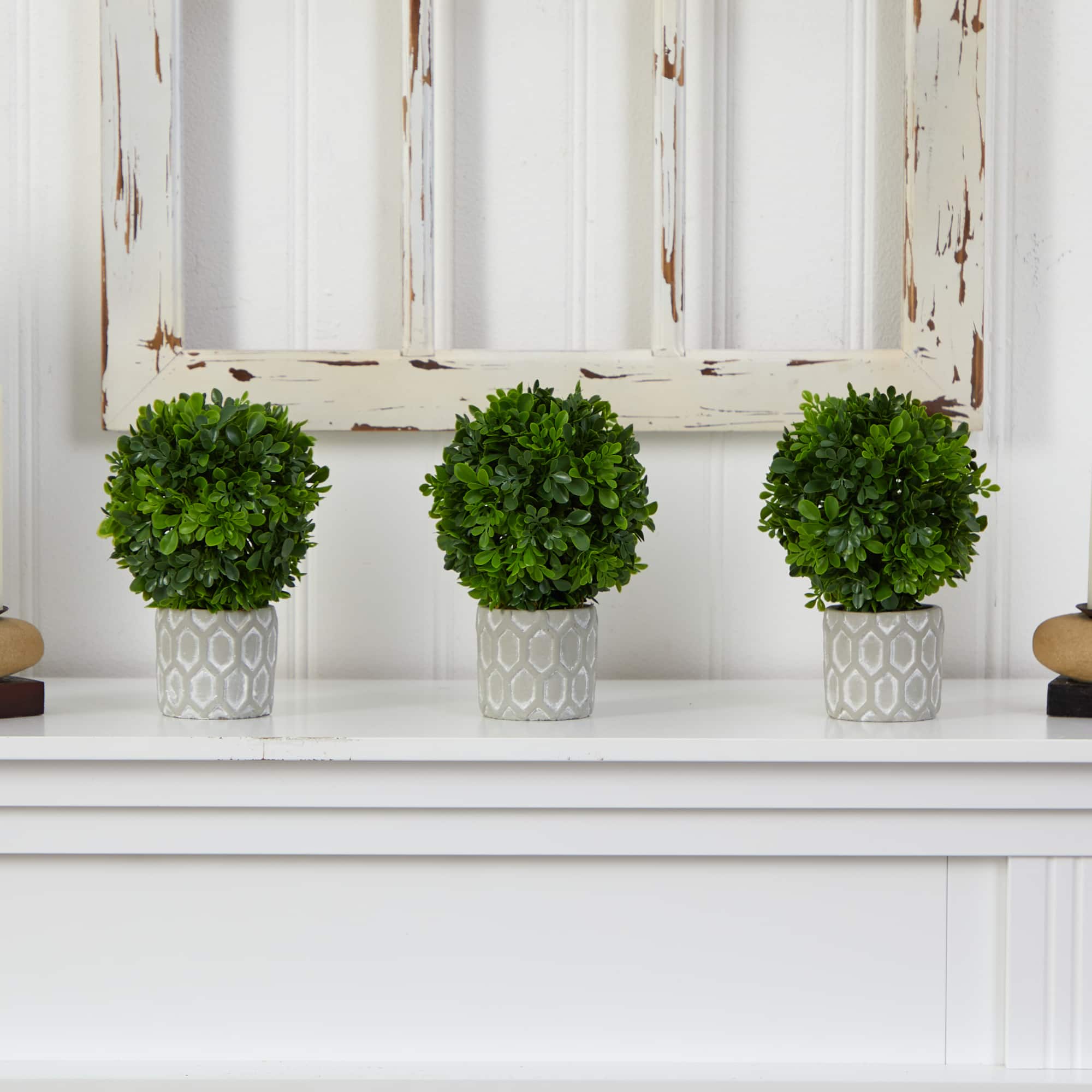 9" Potted Boxwood Mini Topiary, 3ct.